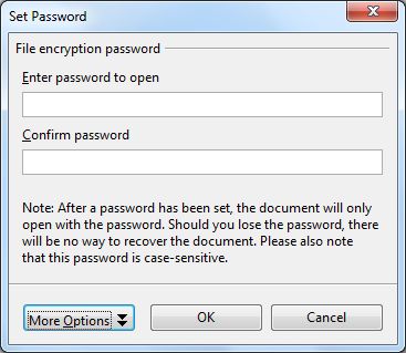 (opens the Set Password dialog box , but skip to...) &gt; More Options... (button)