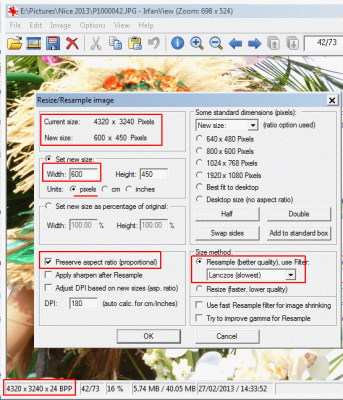 Using IrfanView to resample an image