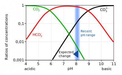 540px-Carbonate_system_of_seawater.svg.png