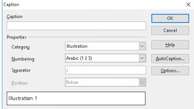 Illustration Caption creation dialogue box.jpg