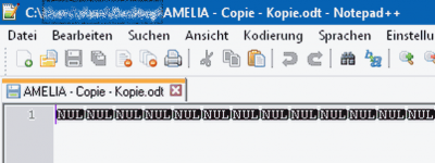 The NUL values of Notepad++ are shown in Writer as ###
