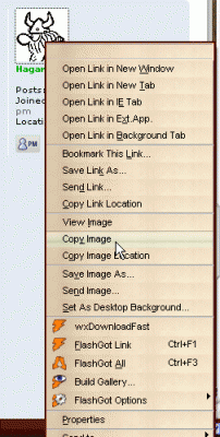 right-click-FF-menu.gif