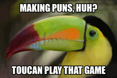 toucan_pun.png