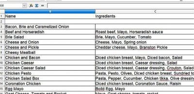 This is the list containing every names and ingredients