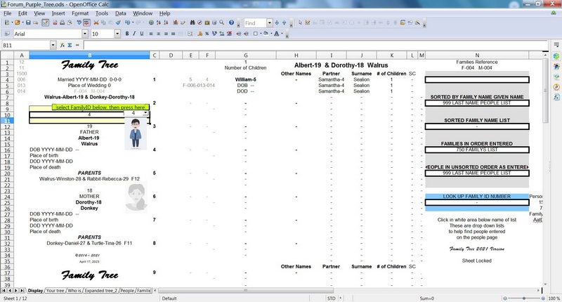 Information on the Family Display sheet