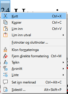 Menu options selecting footnote right to left.