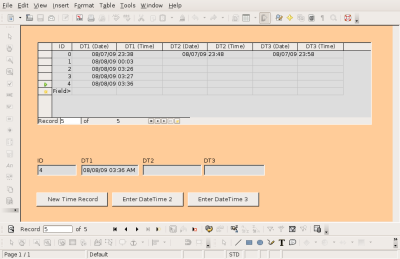 Form with Insert macro coded