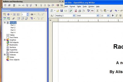 Screen shot of the document and Navigator in OOo.