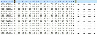File opened in hex editor.