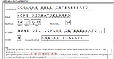 Schermata compilazione in draw.png