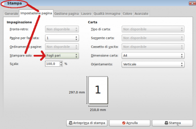 Stampa - ImpostazioniPagina.png