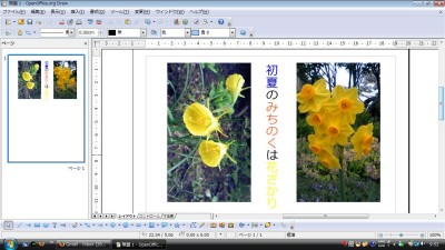 3.1 Draw on Windows Vista 「初夏のみちのくは花ざかり」 :)